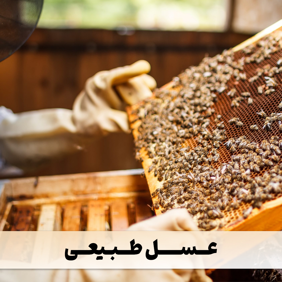 عسل آویشن و گون